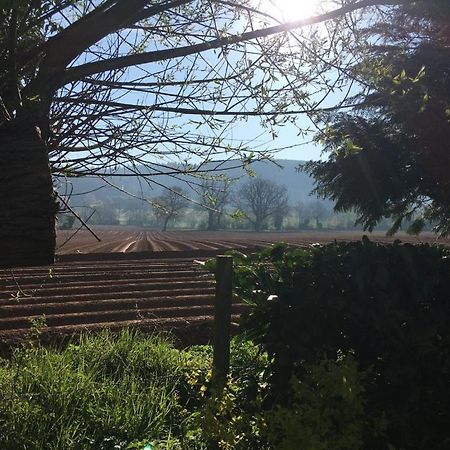Dee'S Cottage At Brinsop Hereford Esterno foto
