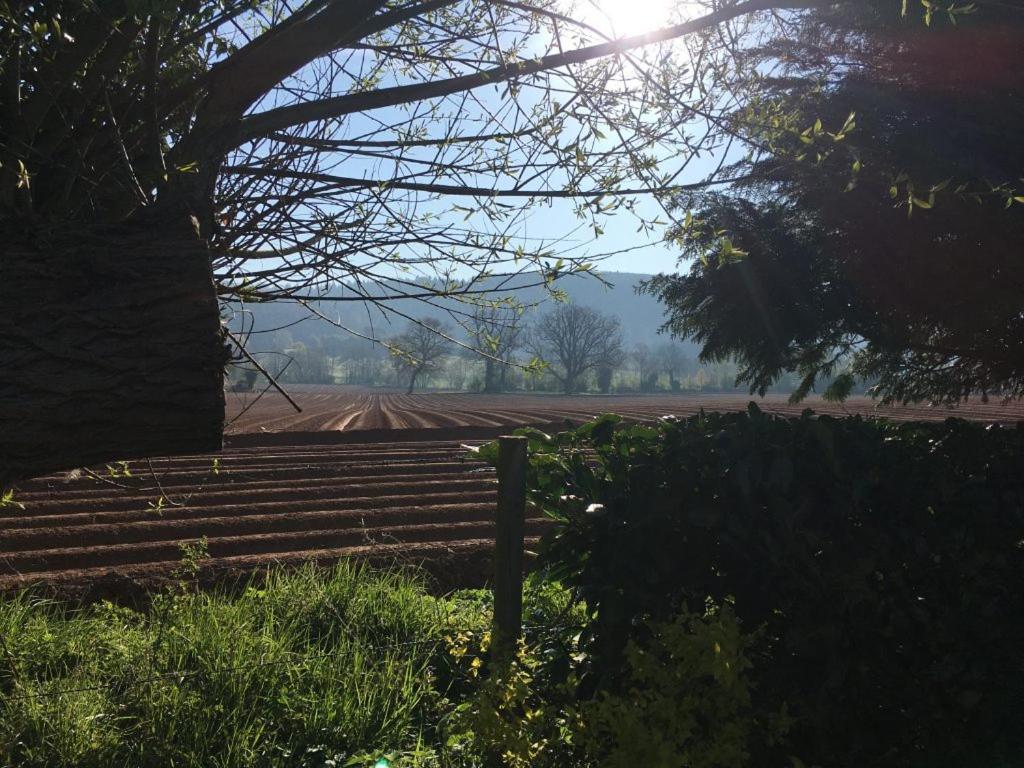 Dee'S Cottage At Brinsop Hereford Esterno foto